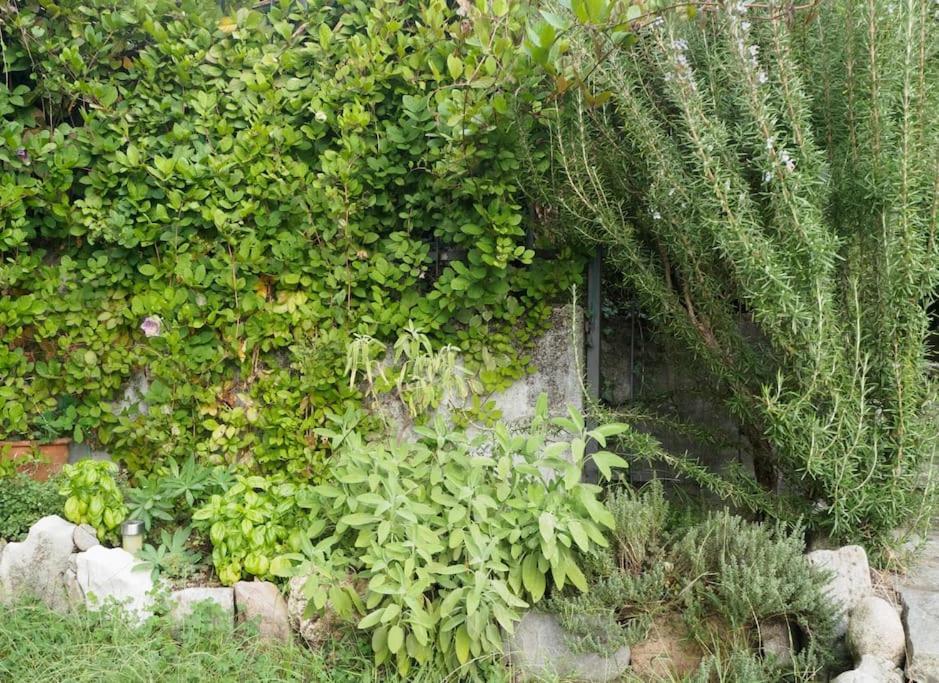 La Tua Villa Sul Lago - Casa Kollegger Luino Luaran gambar